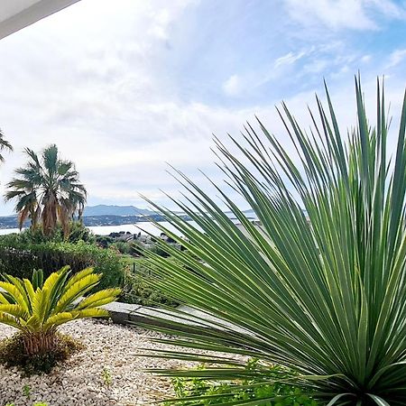 Magnifique Appartement Vue Mer - Grande Terrasse Et Piscine 邦多勒 外观 照片